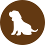犬の飼い方