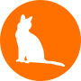 猫の飼い方