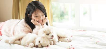 犬の飼い方